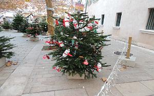 2025 12 09 OULLIOULES PROMENADE (29)